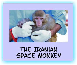 Iran Space Monkey