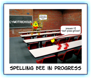 Kidz News Spelling Bee