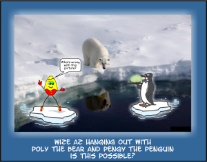 Wize Az Polar Bear Penguin playing